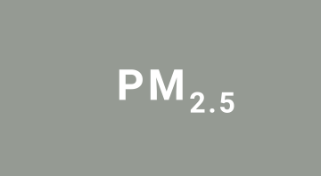 PM 2.5